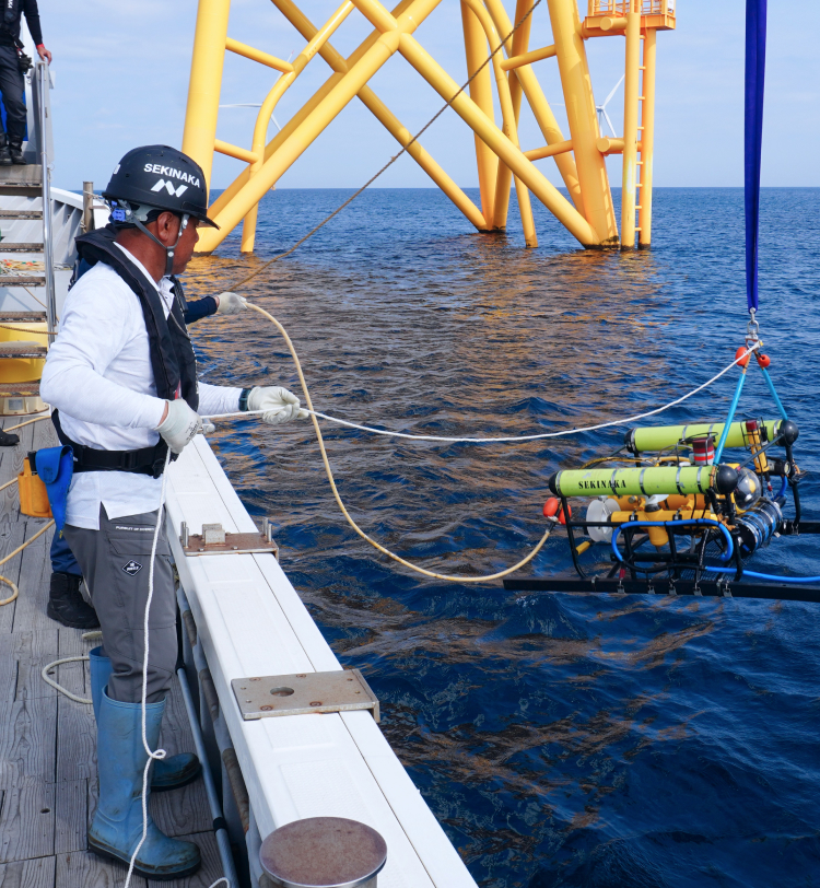 海底ケーブル調査
